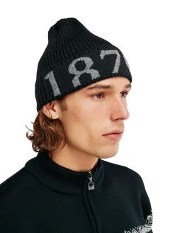 Fashion 1879 Unisex Wool Hat Women Hats